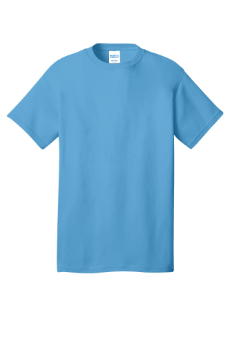 Port & Company 5.4-oz 100% Cotton T-Shirt